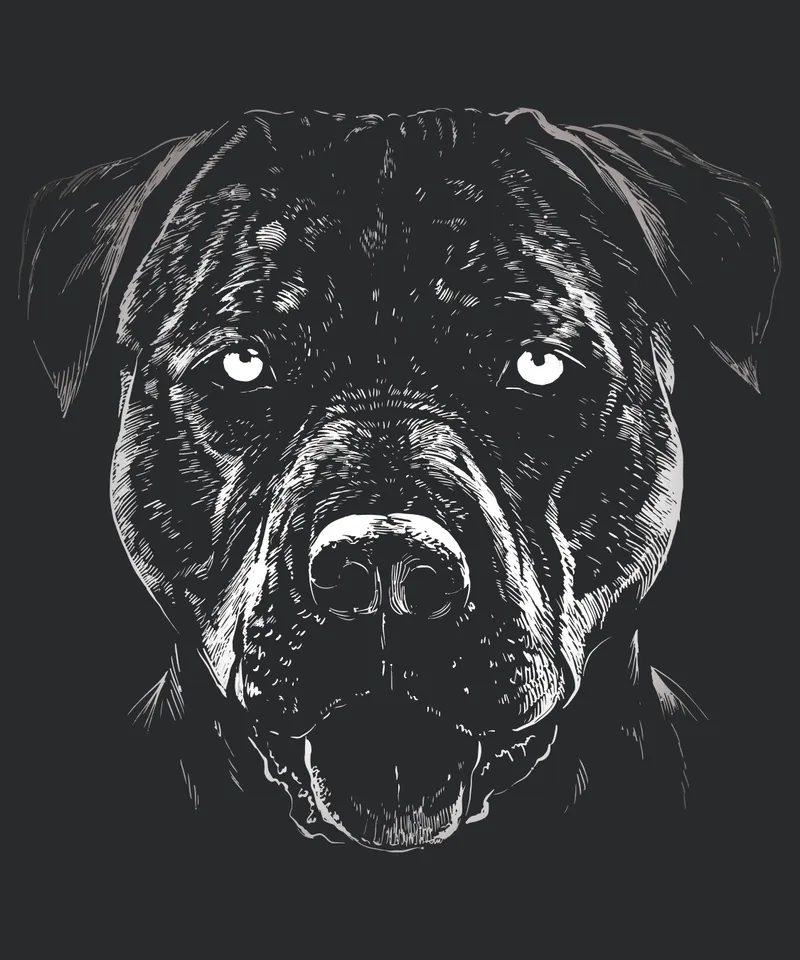 24171-Pitbull-Dog-Monochrome-t-shirt-PR.jpg