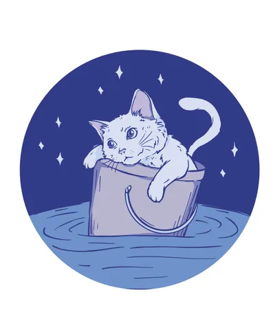 Cat lost in the sea