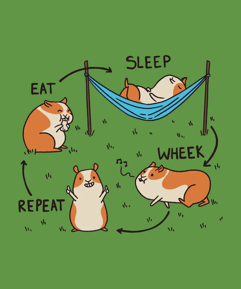 11360-GuineaPigCycleTSHIRT-PR.jpg