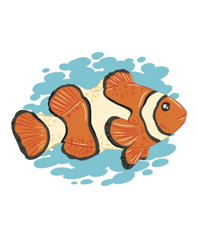 Clown Fish Swimming in Ocean