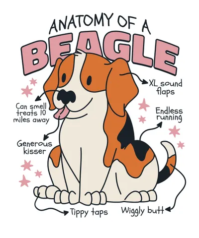 Beagle Anatomy