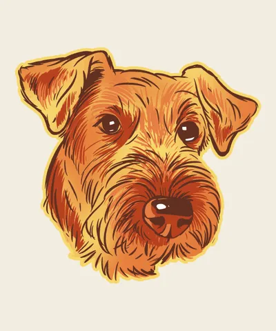 Airedale Terrier Dog