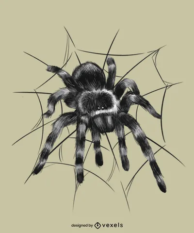 Black Tarantula