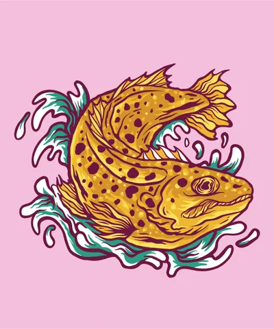 Fish Sea Animal in Water