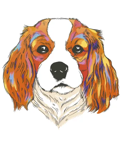 Charles Spaniel Dog Animal