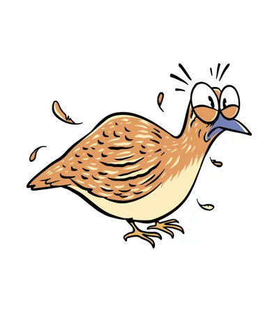 Quail Bird Animal Cartoon