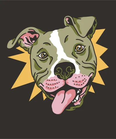 Funny Pitbull Dog