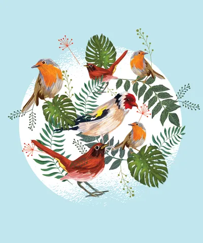 Tropical Birds