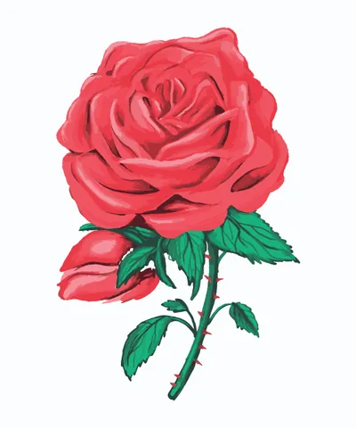 Red Rose