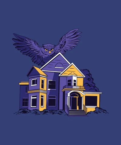 Owl bird flying over house