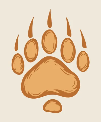 Bear Wild Animal Paw