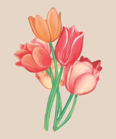 Tulip Flowers Watercolor