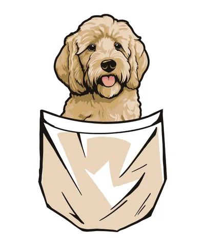 Golden Doodle Dog in Pocket