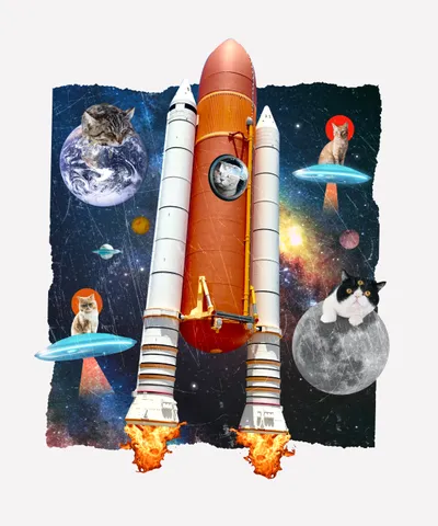 Cats in Space Funny Collage