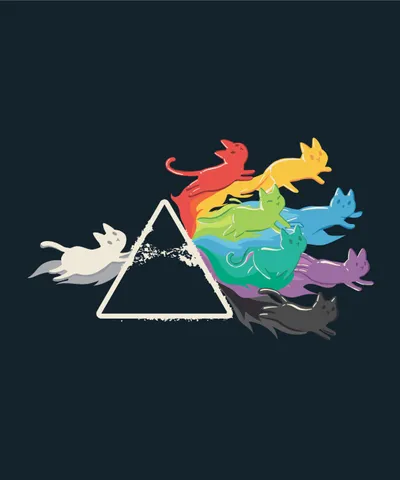 Rainbow Prism Cat